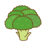 ブロッコリーのイラスト Clip art of broccoli