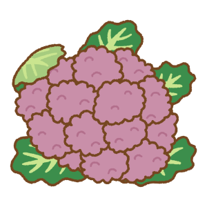 紫のカリフラワーのフリーイラスト Clip art of purple cauliflower