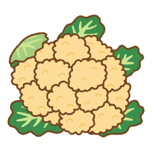 オレンジのカリフラワーのフリーイラスト Clip art of orange cauliflower