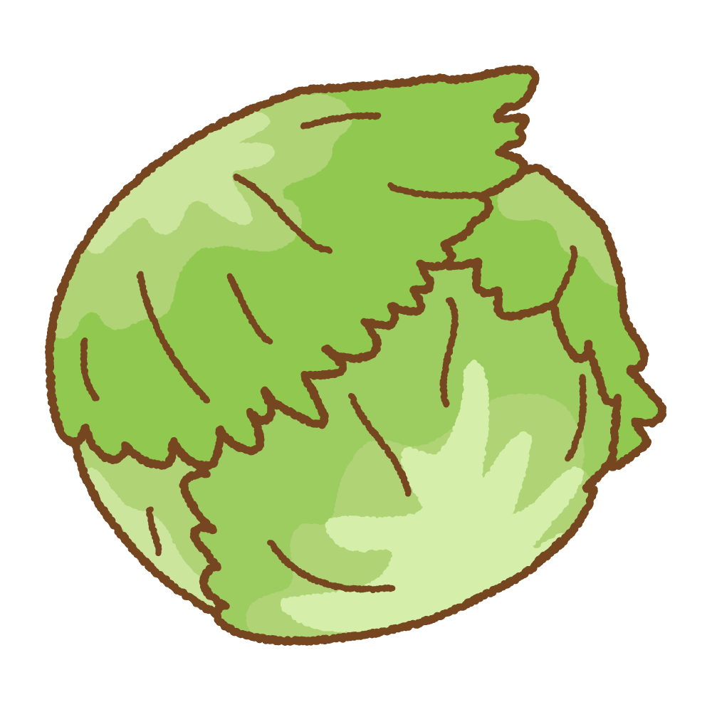 レタスのフリーイラスト Clip art of lettuce