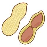 落花生のフリーイラスト Clip art of peanuts