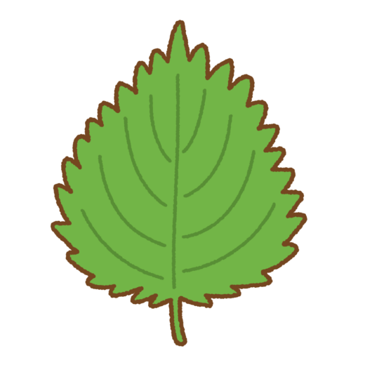 大葉のイラスト