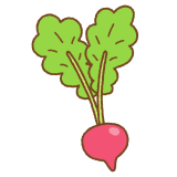ハツカダイコンのフリーイラスト Clip art of radish