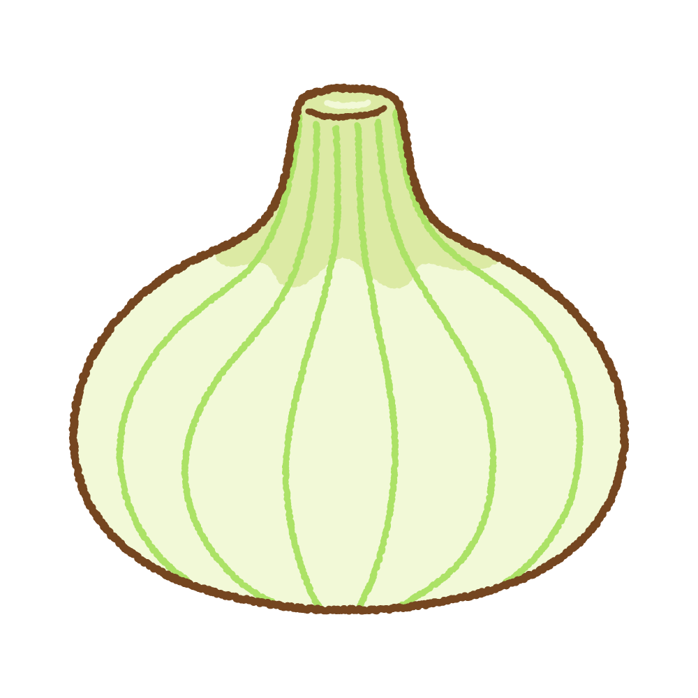 新タマネギのフリーイラスト Clip art of shin-tamanegi onion