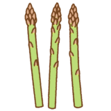 アスパラガスのイラスト