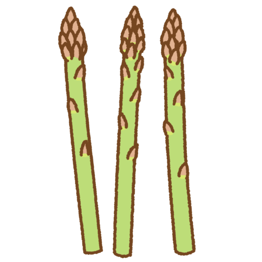 アスパラガスのイラスト