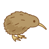 キーウィのフリーイラスト Clip art of kiwi bird