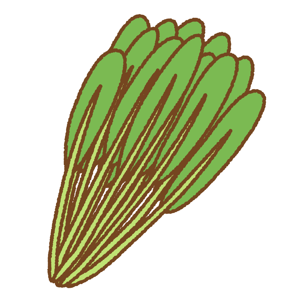 壬生菜のフリーイラスト Clip art of mibuna