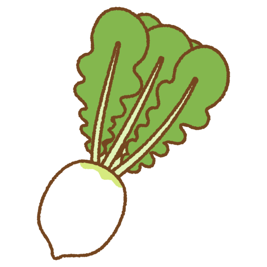 聖護院ダイコンのフリーイラスト Clip art of shogoin-daikon