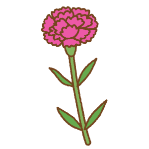 ピンクのカーネーションのフリーイラスト Clip art of pink carnation