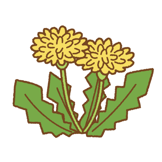タンポポのフリーイラスト Clip art of dandelion