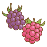 キイチゴのフリーイラスト Clip art of kiichigo