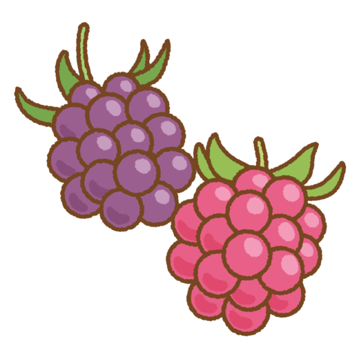 キイチゴのイラスト