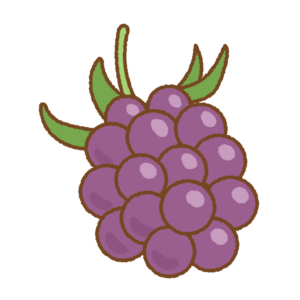 キイチゴのフリーイラスト Clip art of kiichigo