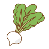 カブのフリーイラスト Clip art of turnip