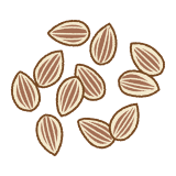 ディルシードのフリーイラスト Clip art of dill seeds