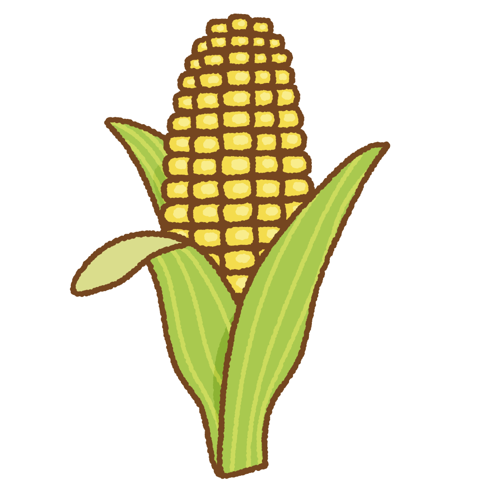 トウモロコシのフリーイラスト Clip art of corn
