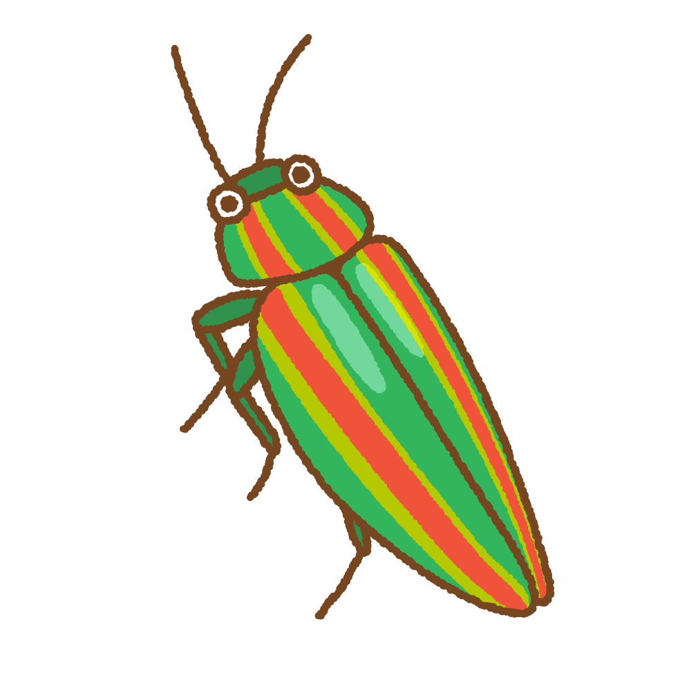 タマムシのフリーイラスト Clip art of buprestidae