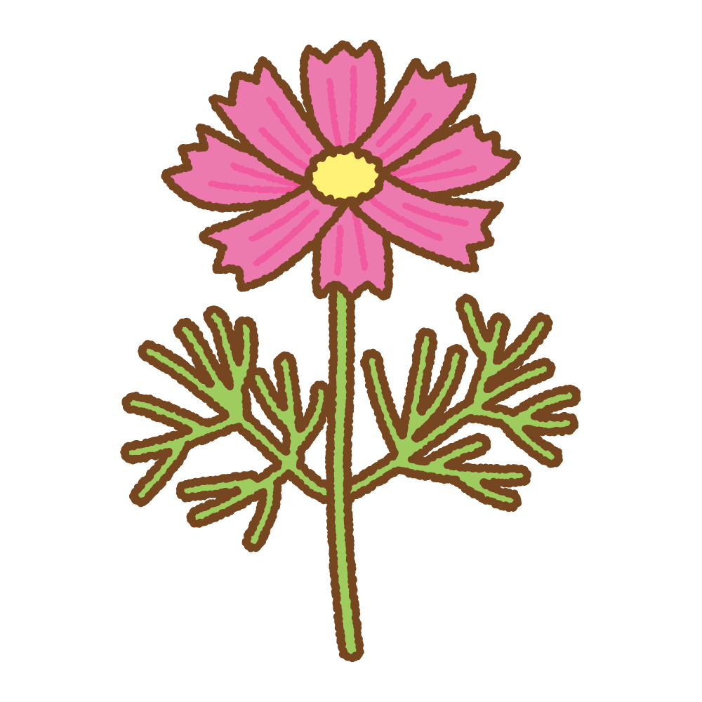 美しい花の画像 無料印刷可能イラスト コスモス 画像