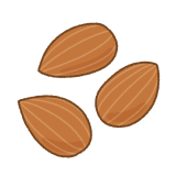 アーモンドのフリーイラスト Clip art of almond