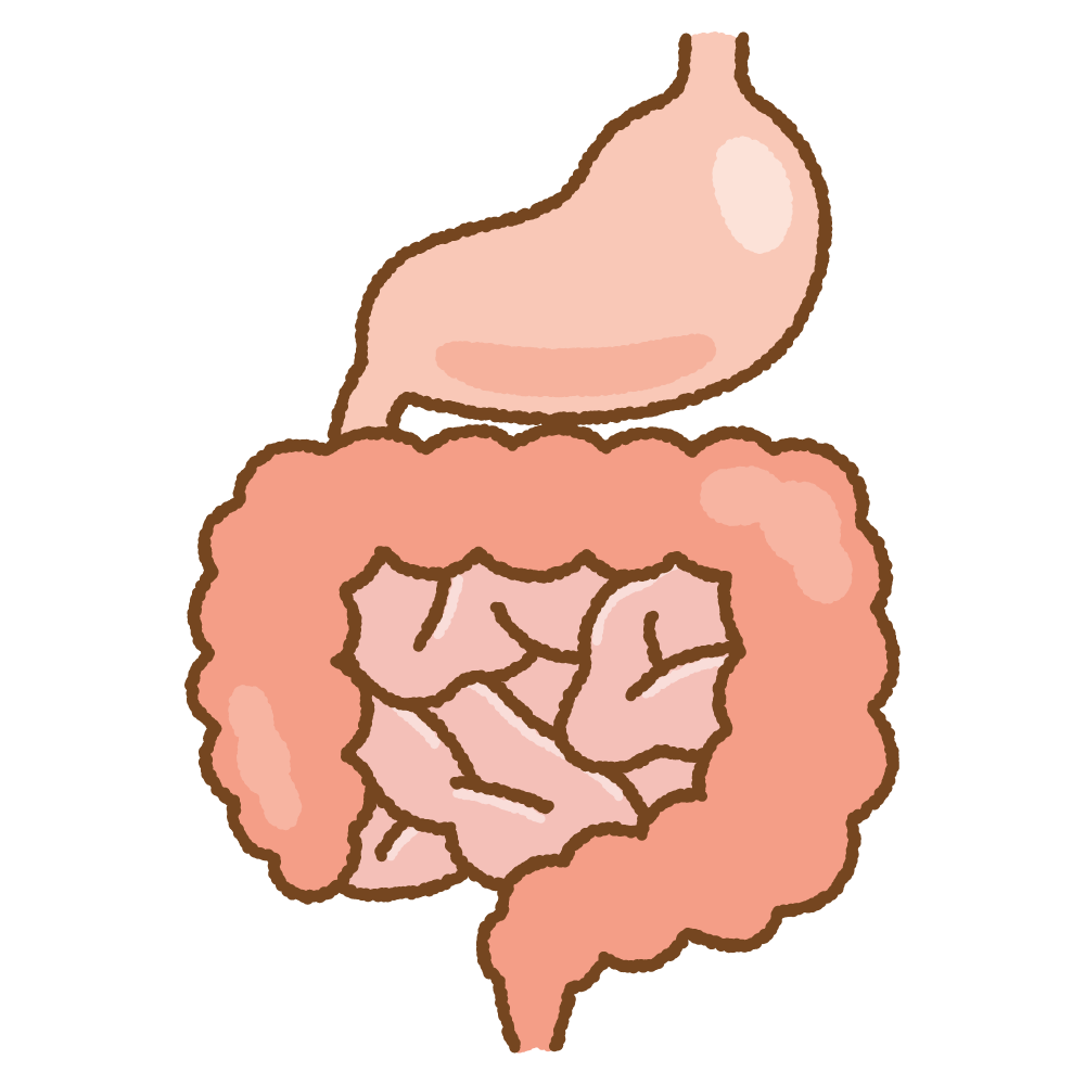 胃腸のフリーイラスト Clip art of stomach-intestines