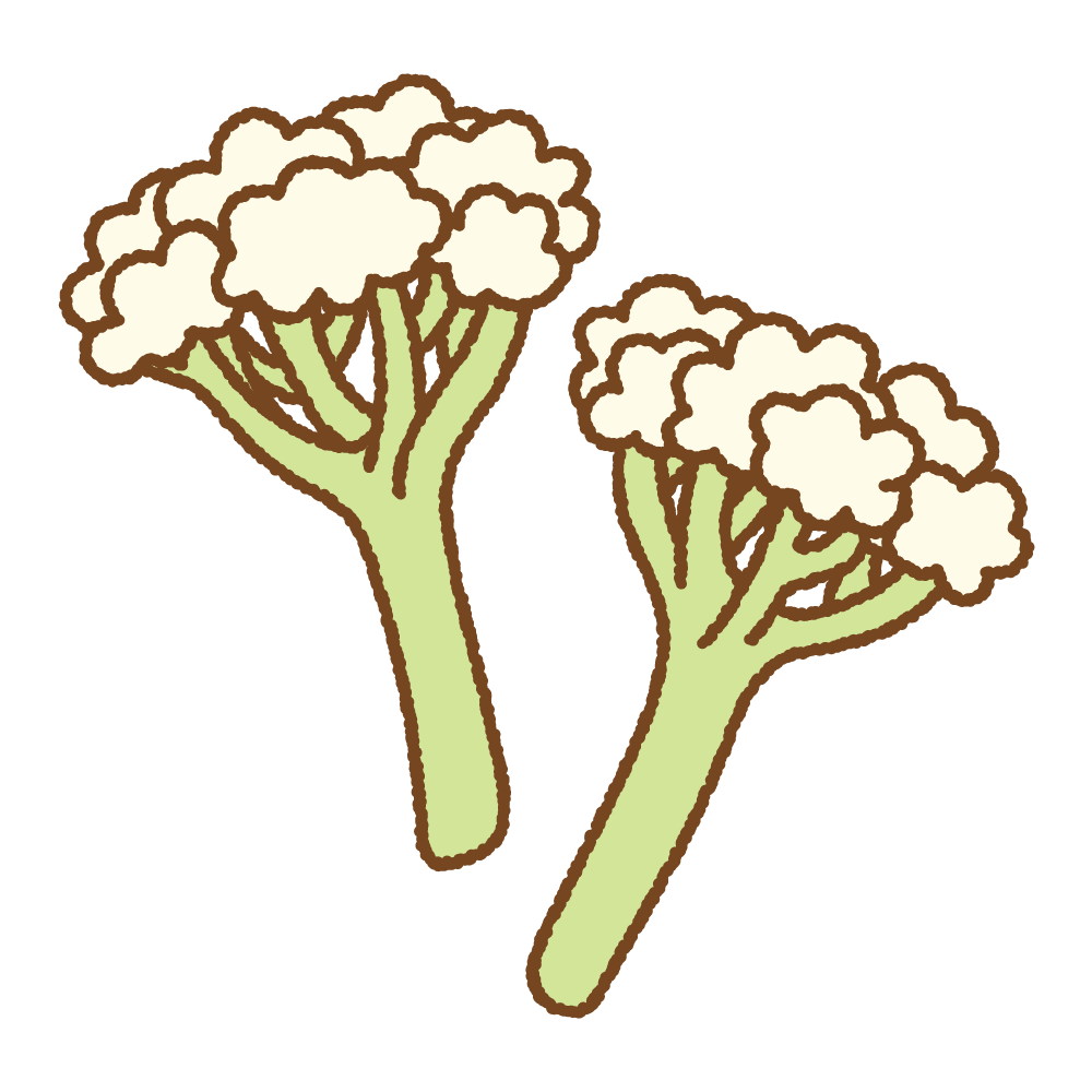 スティックカリフラワーのフリーイラスト Clip art of stick cauliflower