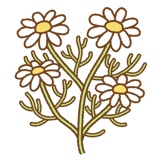 カモミールのフリーイラスト Clip art of chamomile
