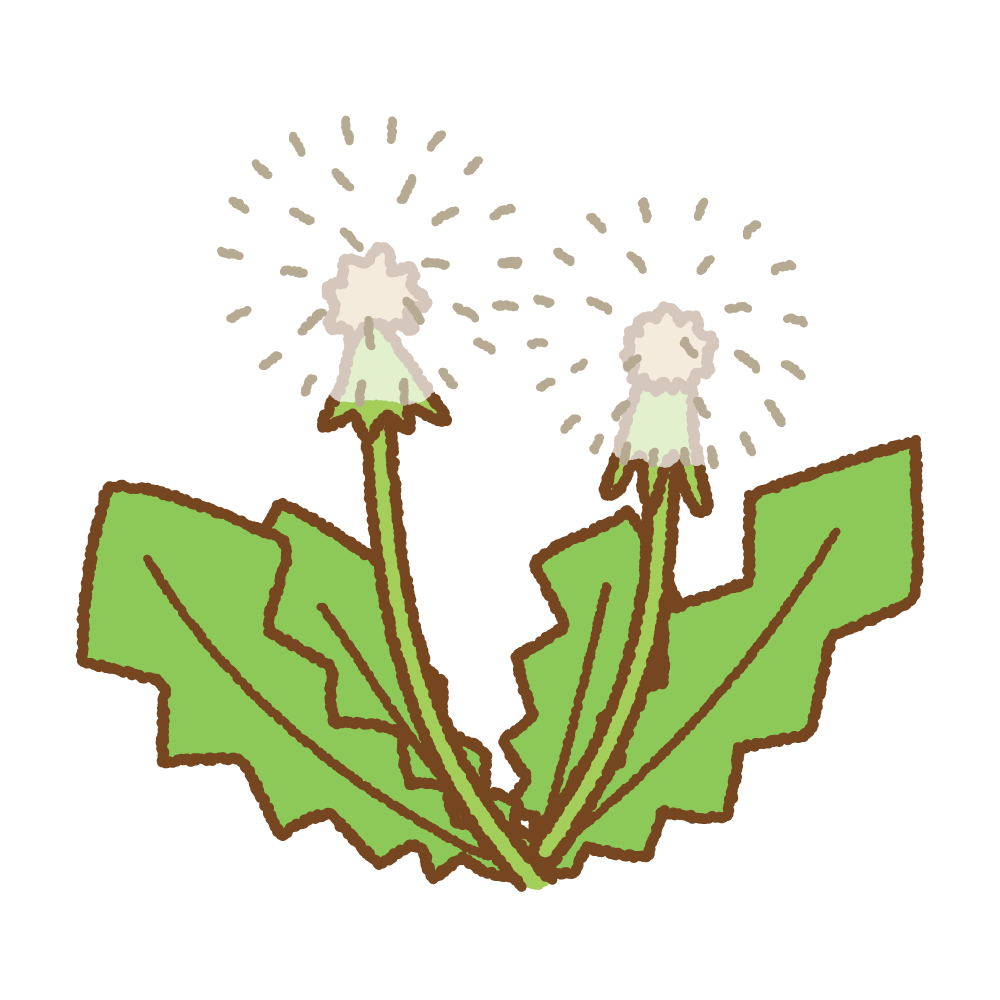 タンポポのフリーイラスト Clip art of dandelion fluff