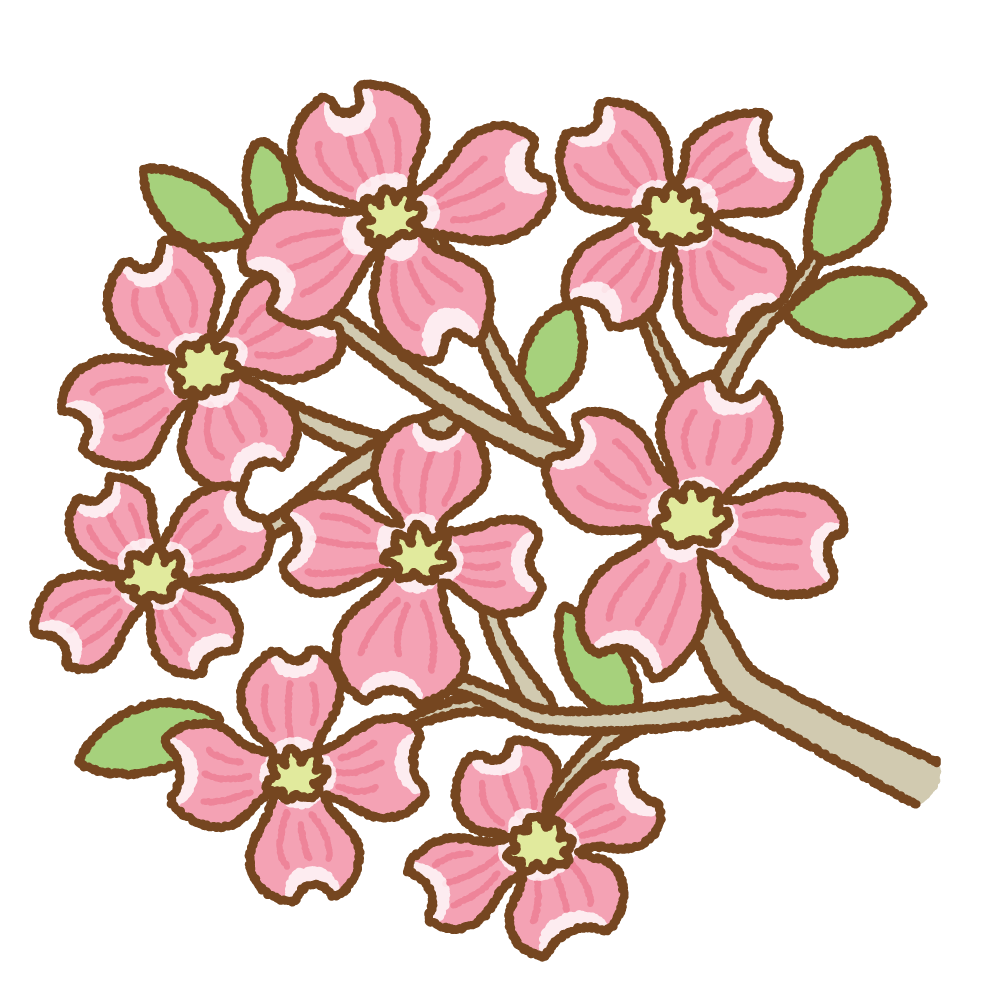 ピンクのハナミズキのフリーイラスト Clip art of pink dogwood