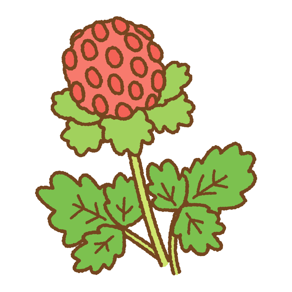 ヘビイチゴのフリーイラスト Clip art of false strawberry