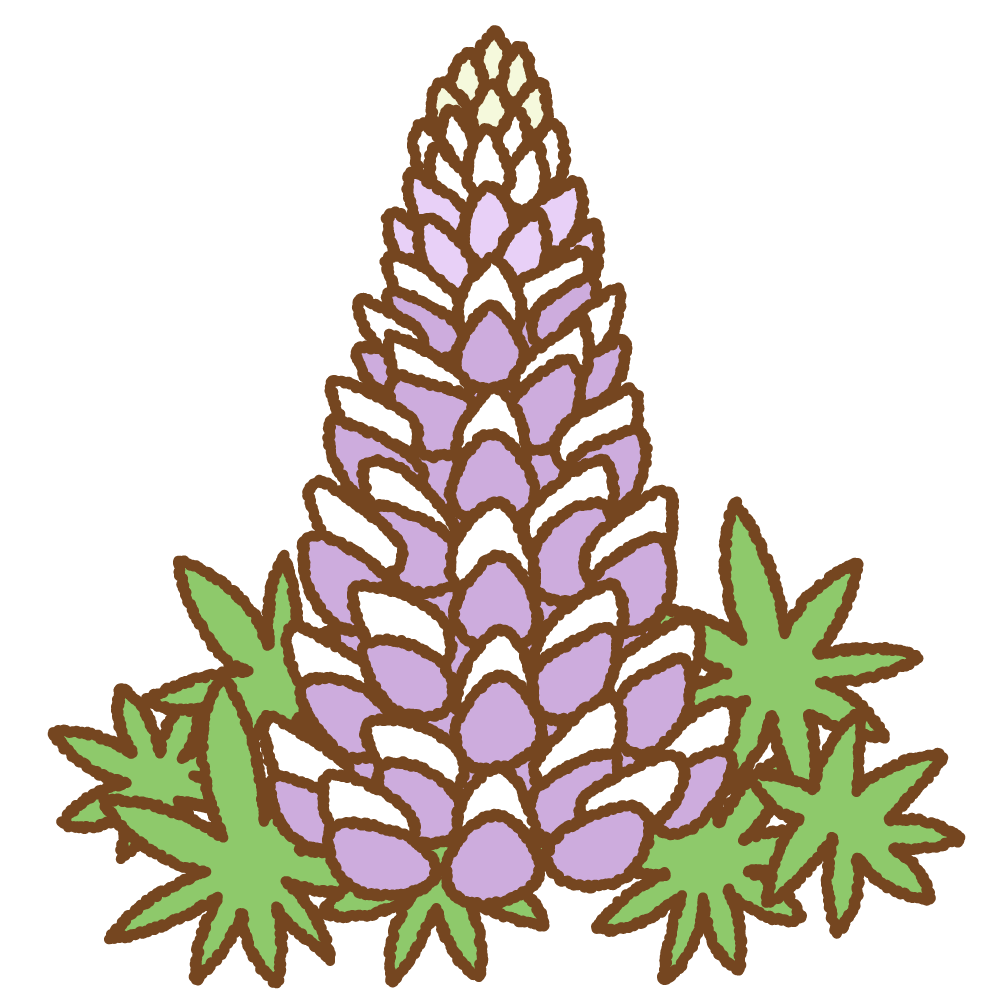 紫のルピナスのフリーイラスト Clip art of purple lupinus