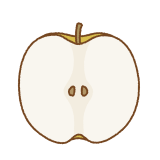 梨の断面のフリーイラスト Clip art of pear cut