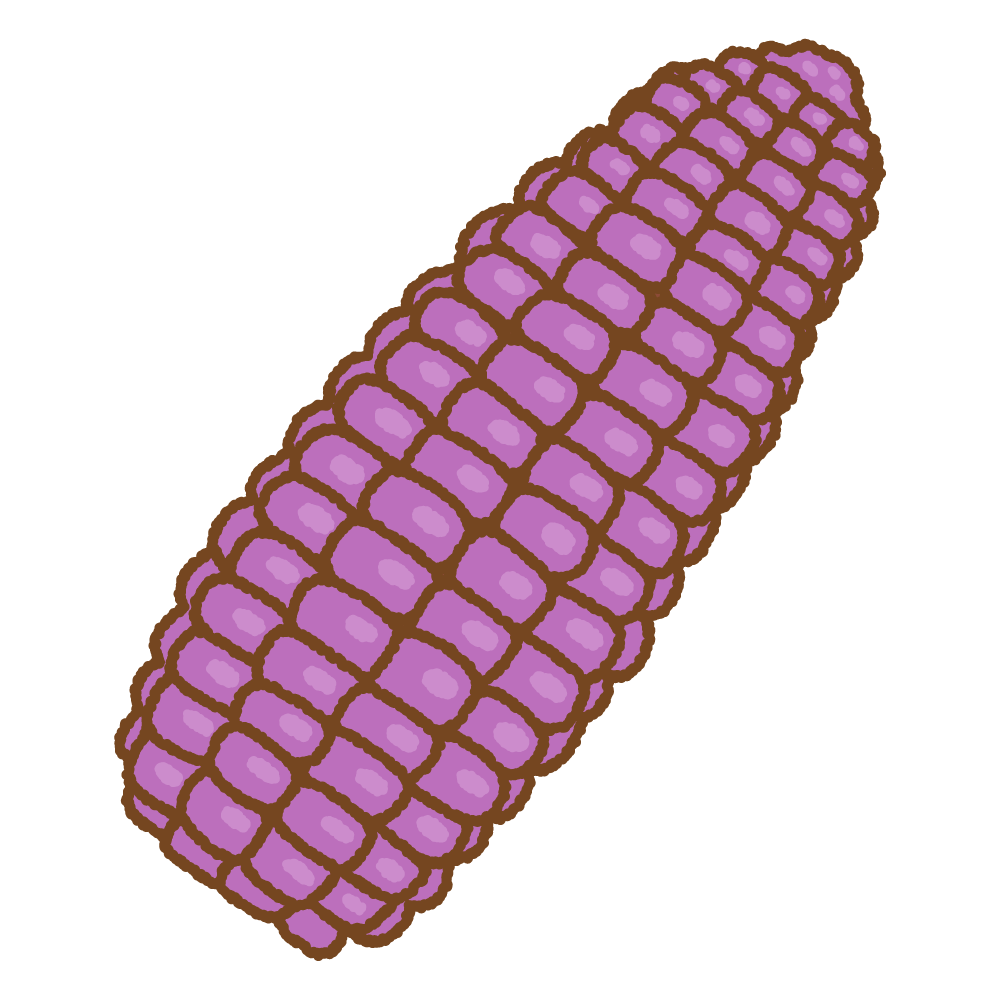 紫トウモロコシのフリーイラスト Clip art of purple corn