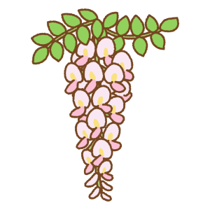 ピンクの藤の花のフリーイラスト Clip art of pink wisteria