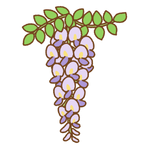 紫の藤の花のフリーイラスト Clip art of purple wisteria