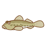 ハゼのフリーイラスト Clip art of goby-fish