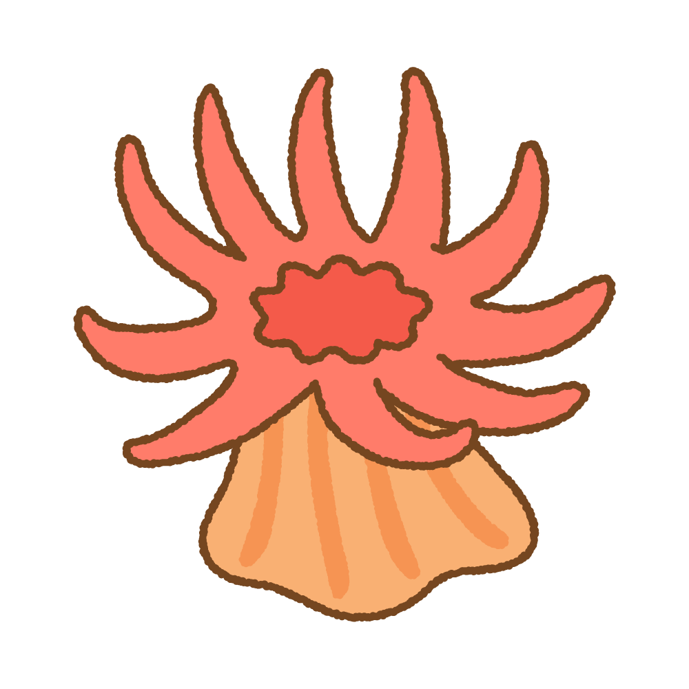 イソギンチャクのフリーイラスト Clip art of sea anemone