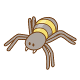 クモのフリーイラスト Clip art of spider