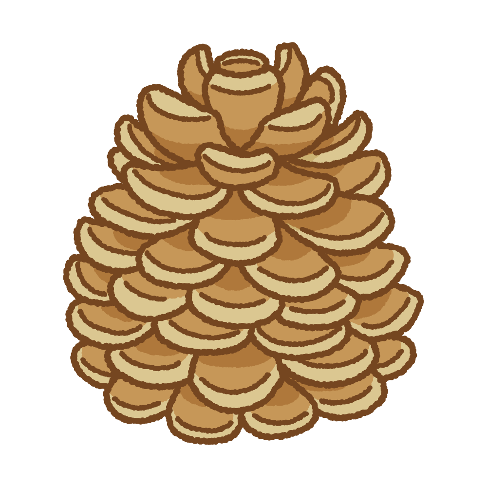 松ぼっくりのフリーイラスト Clip art of pinecone