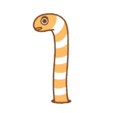 ニシキアナゴのフリーイラスト Clip art of nishiki-anago