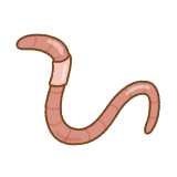 ミミズのフリーイラスト Clip art of earthworm