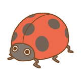 テントウムシのフリーイラスト Clip art of ladybugs