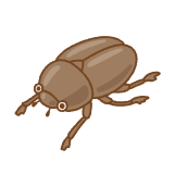 カブトムシのフリーイラスト Clip art of male beetle