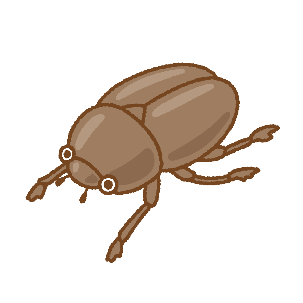 カブトムシ アイコン イラスト