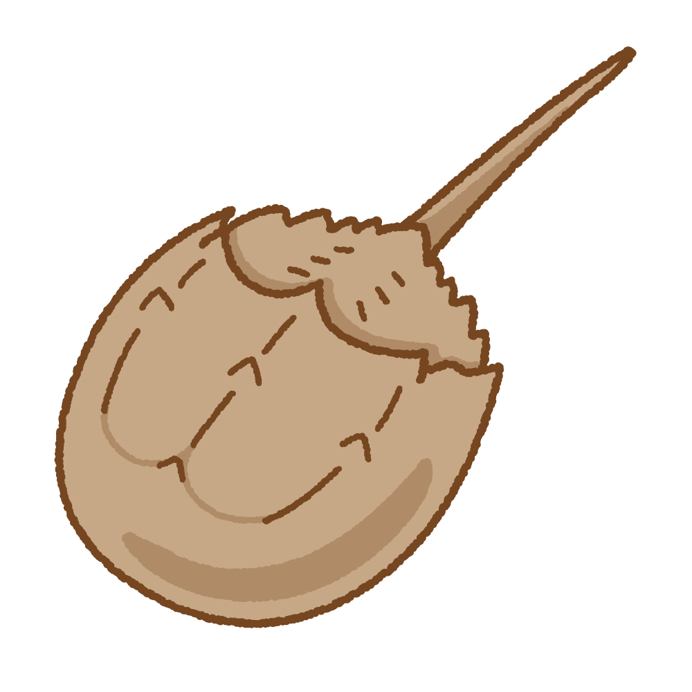 カブトガニのフリーイラスト Clip art of horseshoe crab