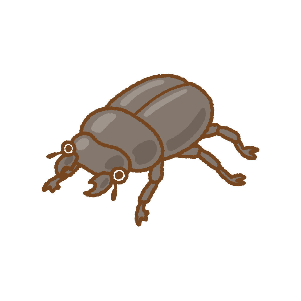 クワガタムシのフリーイラスト Clip art of stag-beetle