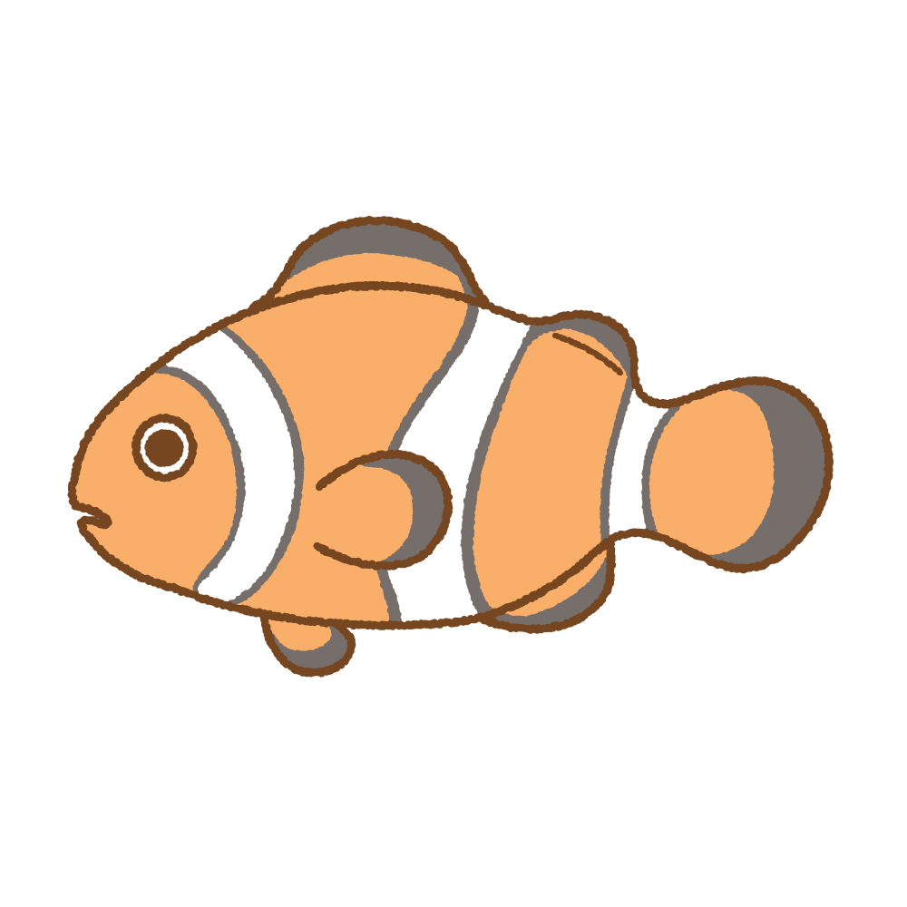 カクレクマノミのフリーイラスト Clip art of clownfish