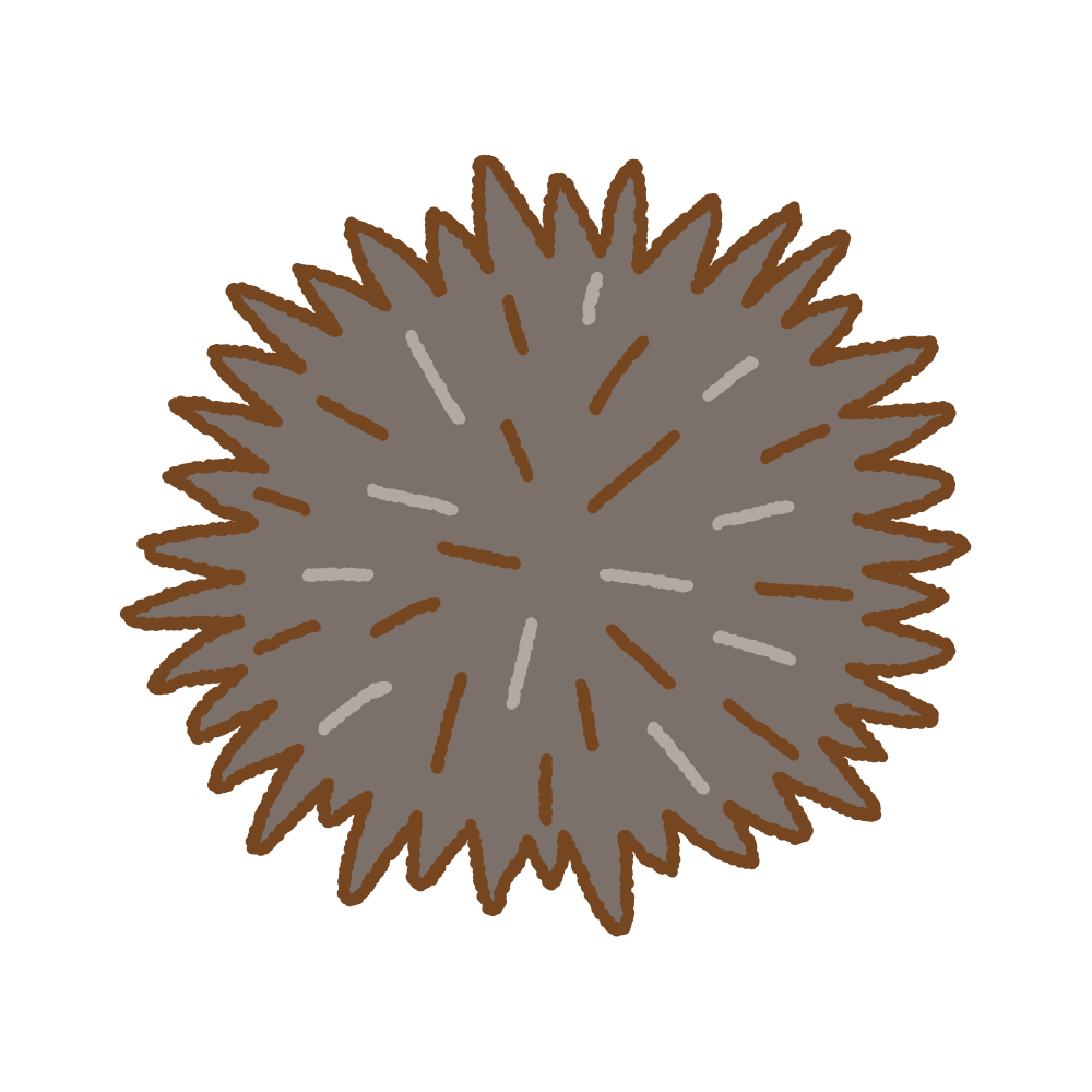 ウニのフリーイラスト Clip art of sea-urchin