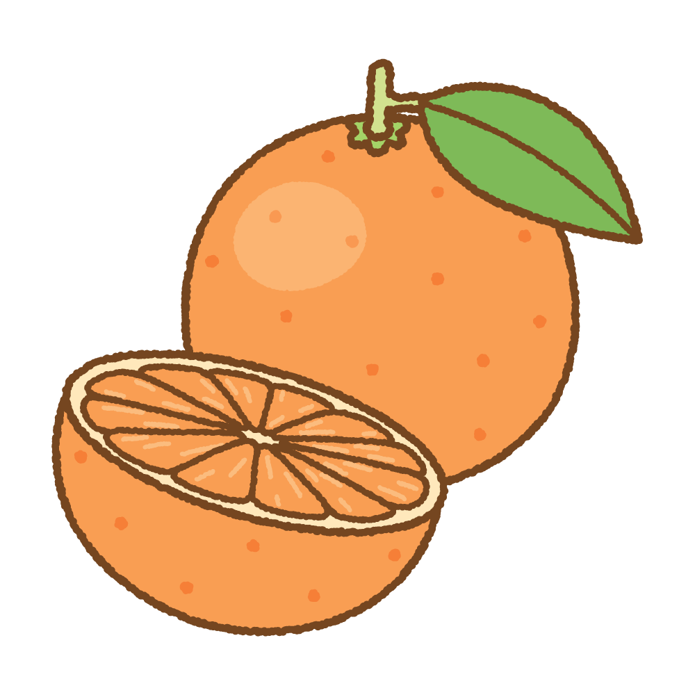 オレンジのフリーイラスト Clip art of orange