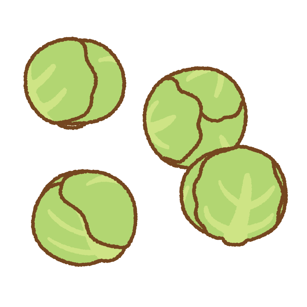 芽キャベツのフリーイラスト Clip art of brussels sprouts